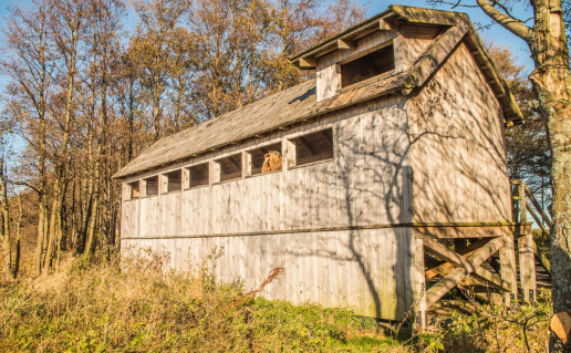 4_Palocio ezeras (3).jpg